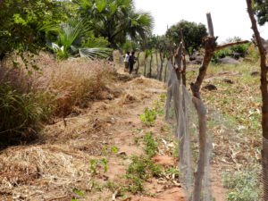 Jardin caummunautaire, cloture à Boré, village près de Nagou, Togo