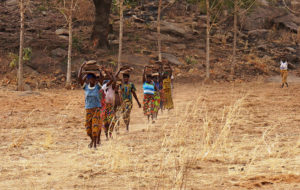 Réfection de la route d'accès au village de Lokpergou, Région des Savanes, Togo